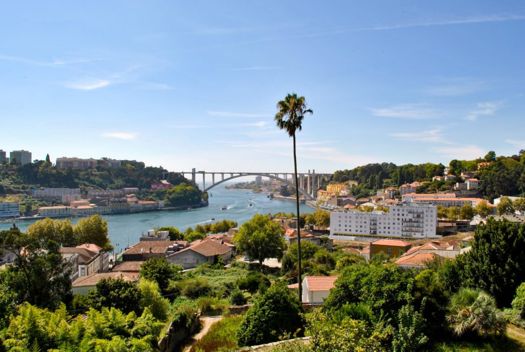 The view from Jardim do Palácio de Cristal